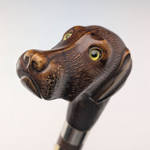 British vintage brown shaft resin dog head handle walking stick 83cm